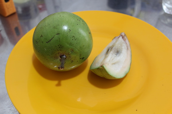 фрукты Вьетнама в 2017 году на острове Фукуок, стоимость, вкус, впечатления и что стоит попробовать молочное звёздное яблоко