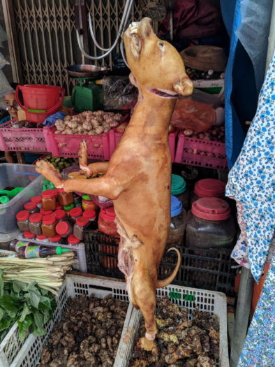 Мертвая собака на дневном рынке Вьетнама