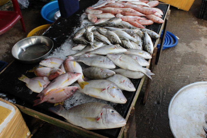 Где купить свежей рыбы, Фукуок, Вьетнам, дневной рынок