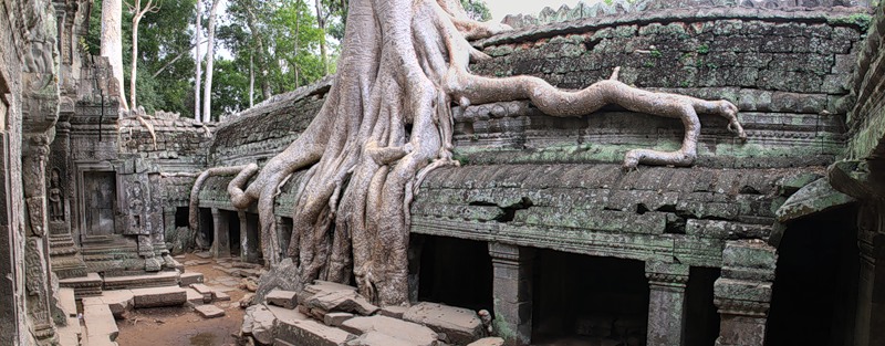храм камбоджи