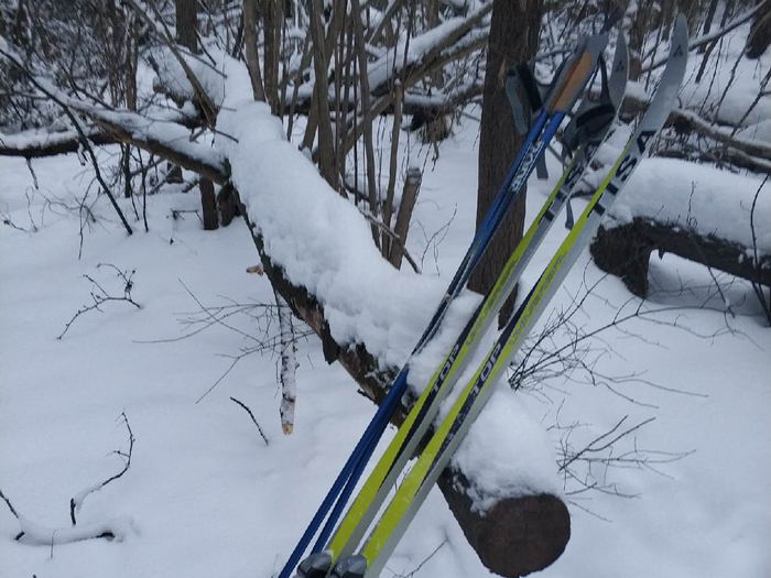 Зимний спорт - беговые лыжи