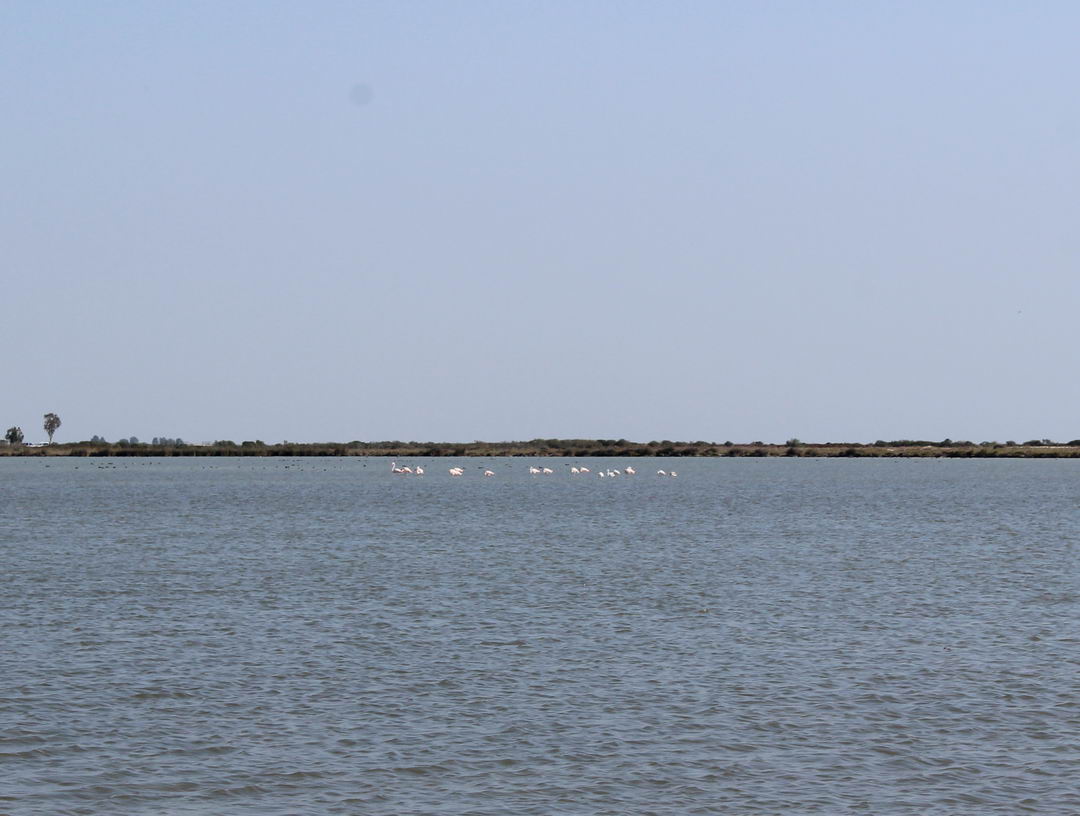 озера Акгол и Парадениз в Турции рядом с Ташуджу в ноябре 2020 года природный парк птиц
